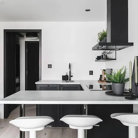Professionally Handled High Standard Studio. Bg3 * Bergen